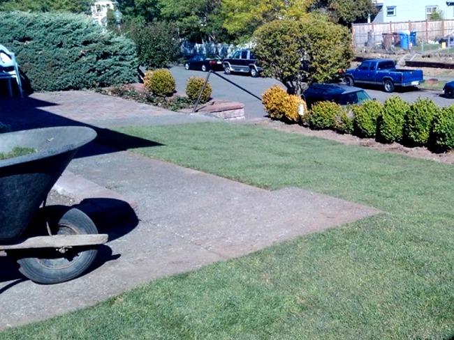 Tacoma Landscaping new sod installation services
