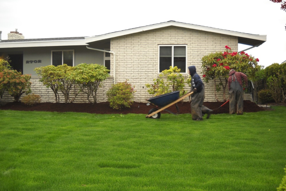 Tacoma Landscaping Contractor Mario S, Landscaping Services Tacoma Wa
